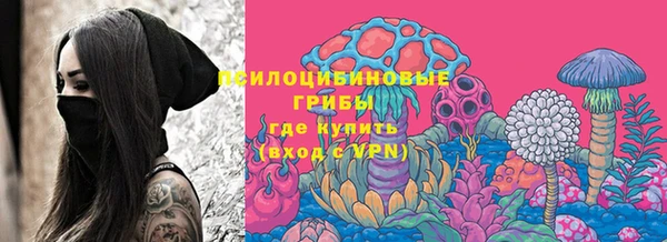 крисы Апатиты