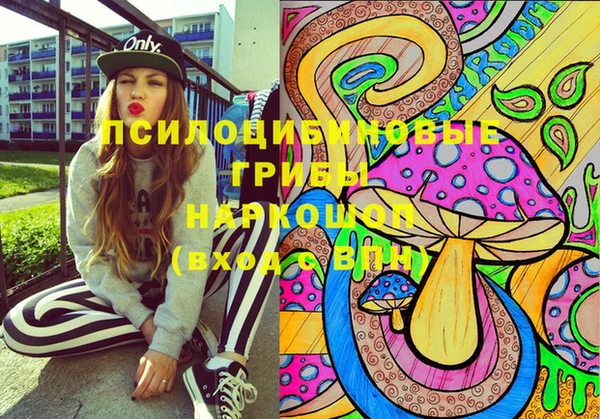 spice Медногорск