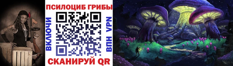 Псилоцибиновые грибы мухоморы  где купить наркотик  мега ССЫЛКА  Дубна 