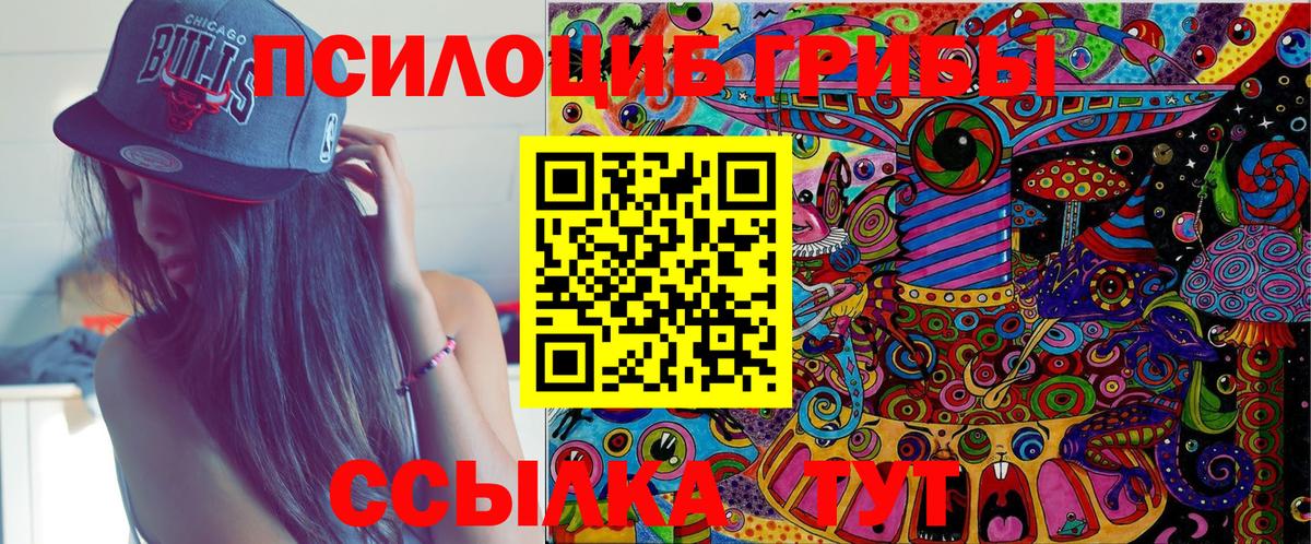 Псилоцибиновые грибы мицелий  Дубна 