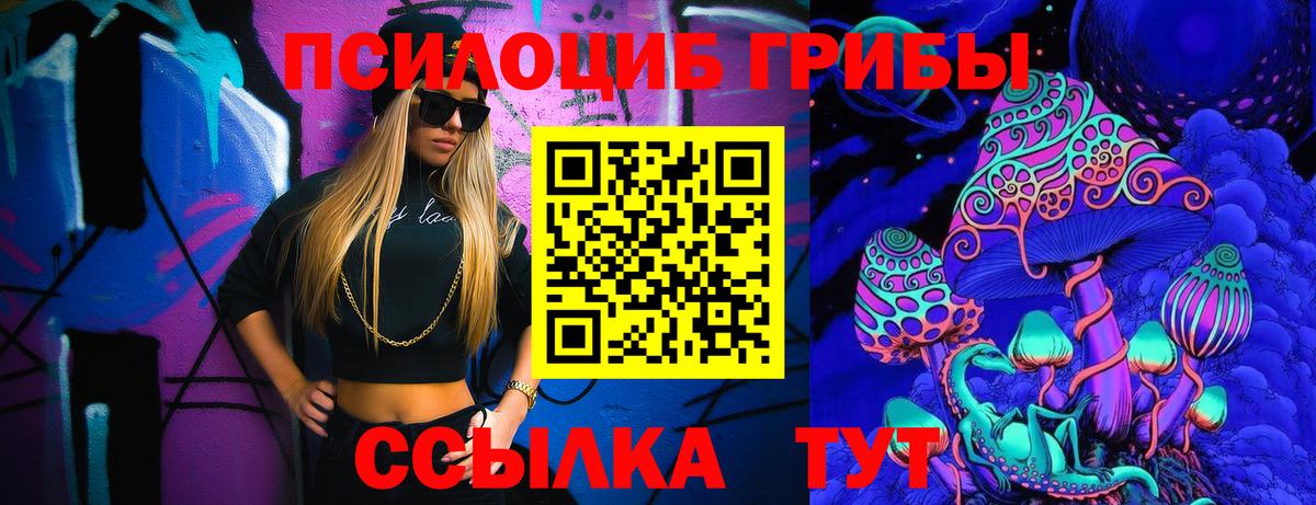 Галлюциногенные грибы Psilocybe Дубна