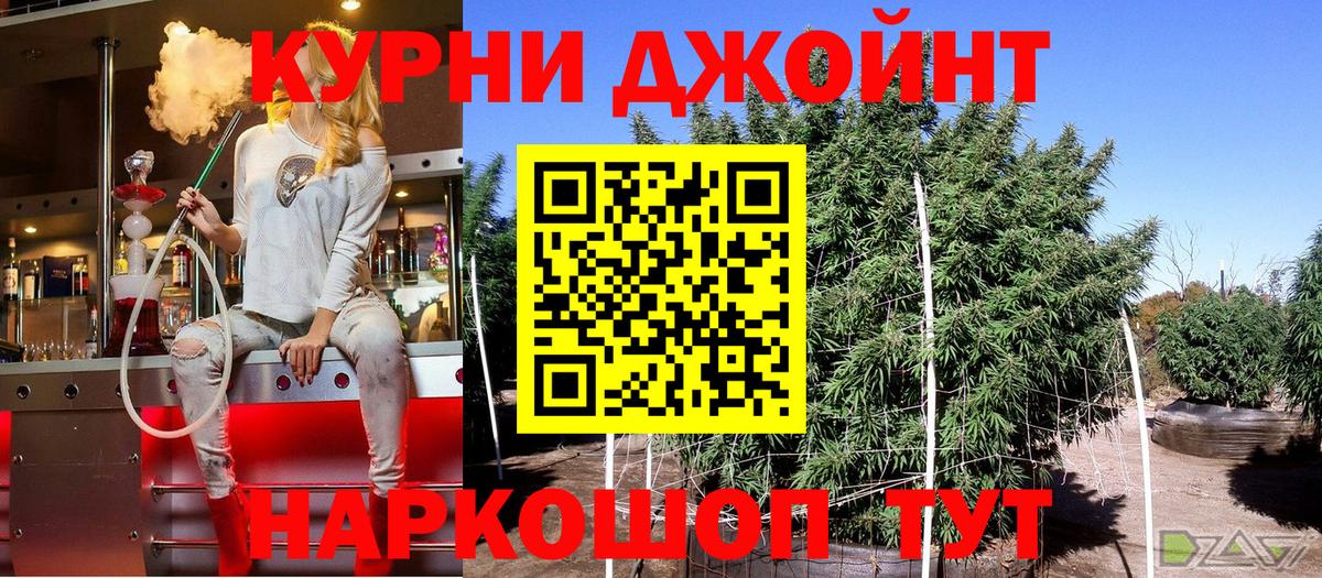 Конопля семена Дубна